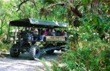 Everglades & Miami Adventure Tour